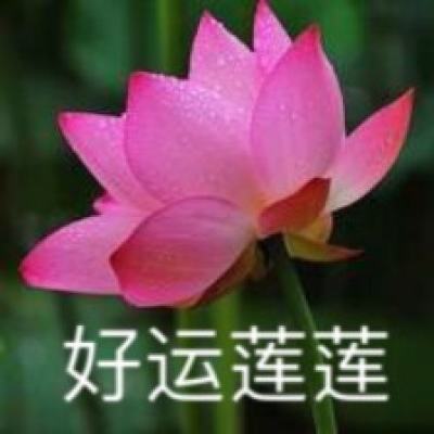 热播影视剧引美日网友论战 “731部队”成关键词